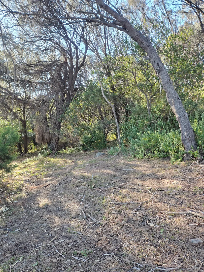 Additional image 11 of 12-14 Church street, Dodges Ferry TAS 7173