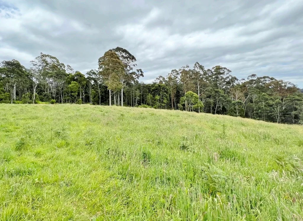 Additional image 3 of Lot 2/Part of 116680 Tasman Highway, Weldborough TAS 7264