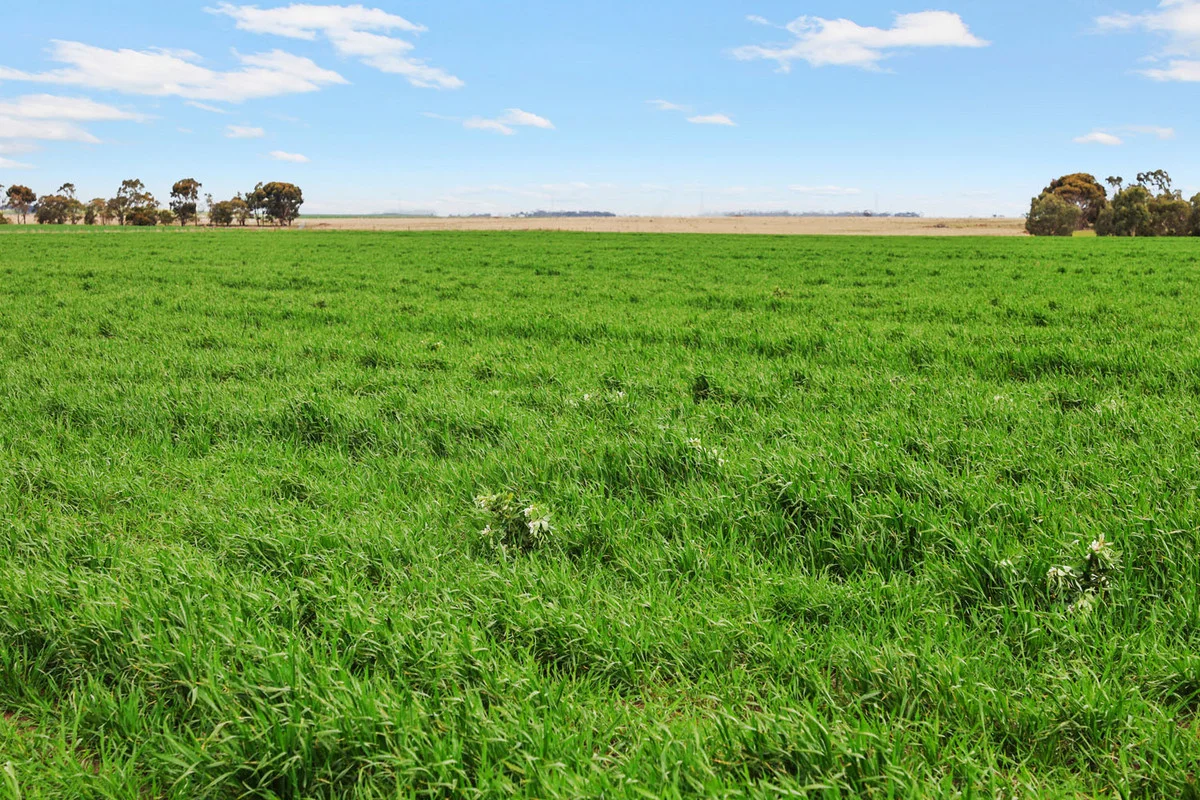 Additional image 25 of 1047 Rokewood-Shelford Road, Shelford VIC 3329