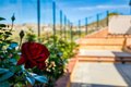 Additional image 44 of 24655 Acadia Dr, Corona, CA, 92883