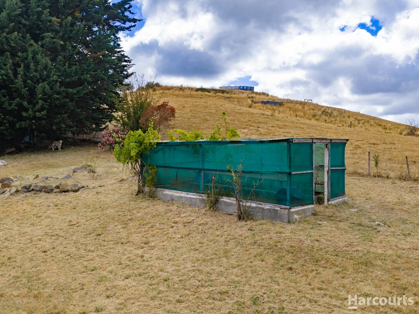 Additional image 19 of 1796 Pipers River Road, Lower Turners Marsh TAS 7267