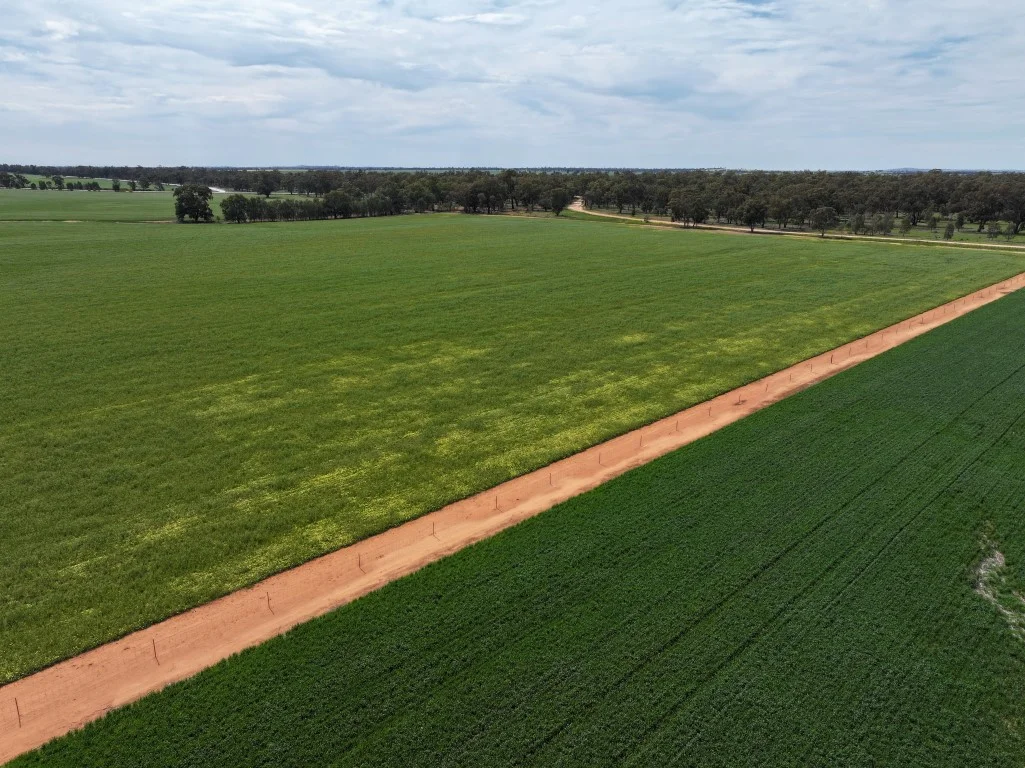 Additional image 4 of 849 Brushwood North Rd, Coolamon NSW 2701