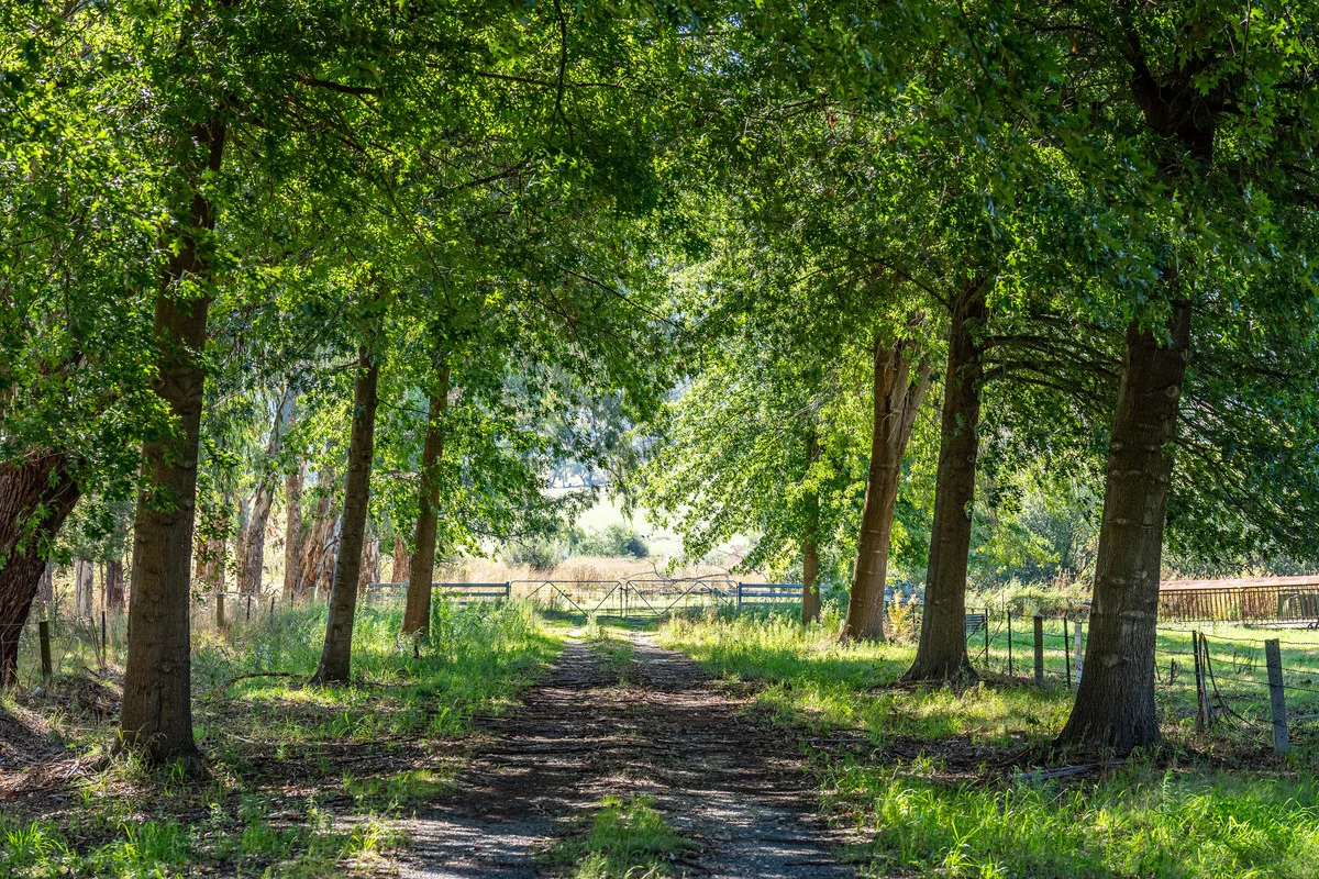 Additional image 6 of 4106 Kiewa Valley Highway, Dederang VIC 3691