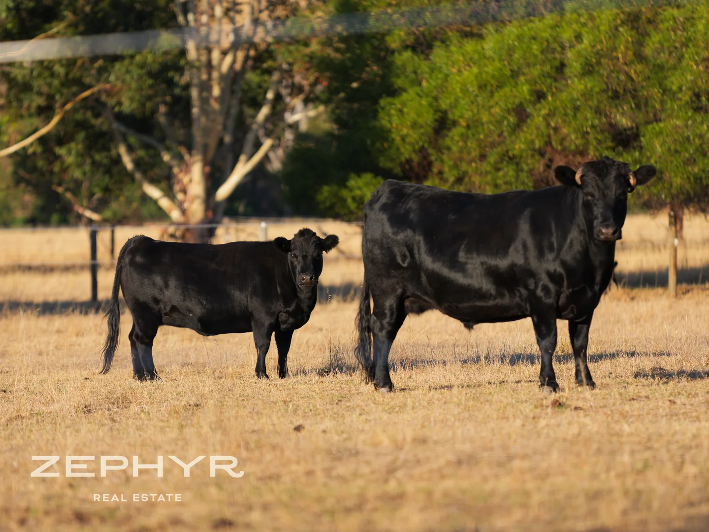 Additional image 24 of 1565 Donnybrook-Boyup Brook Road, Lowden WA 6240