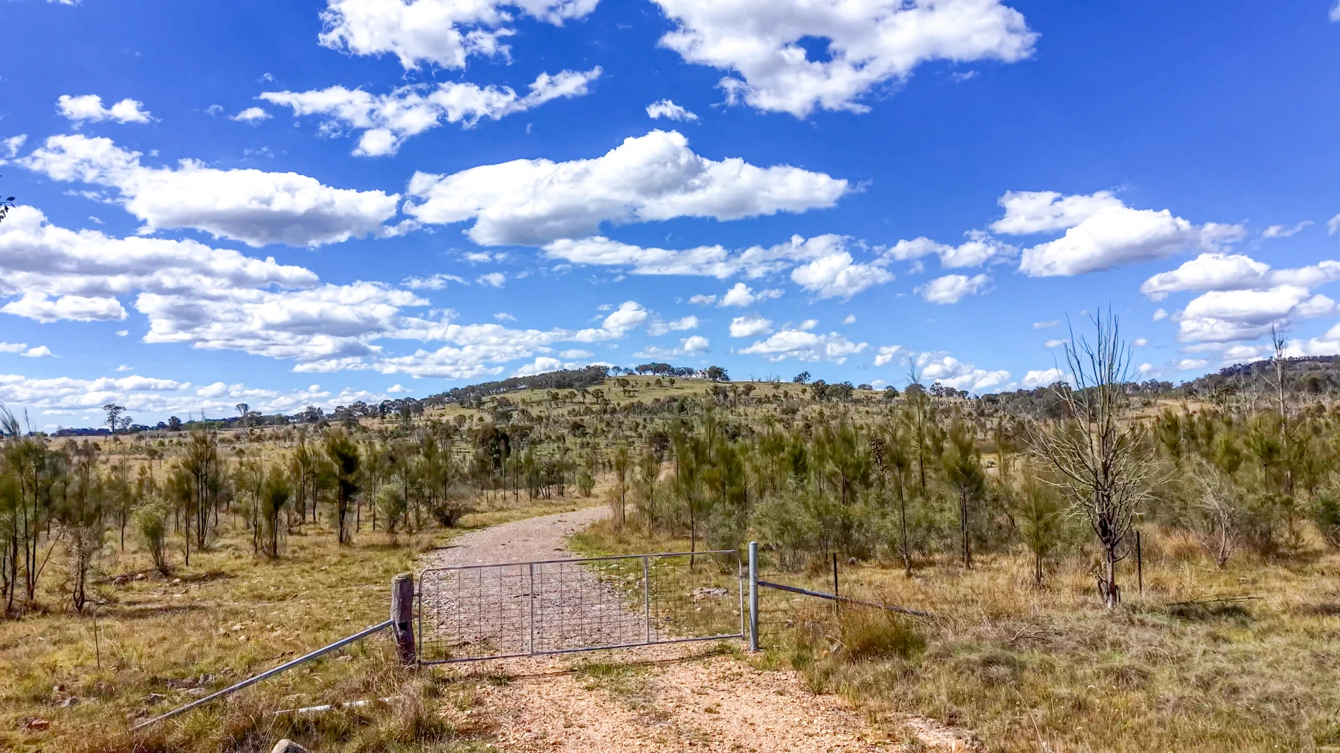 Additional image 2 of Lot 570 Tarban Road, Tenterfield NSW 2372