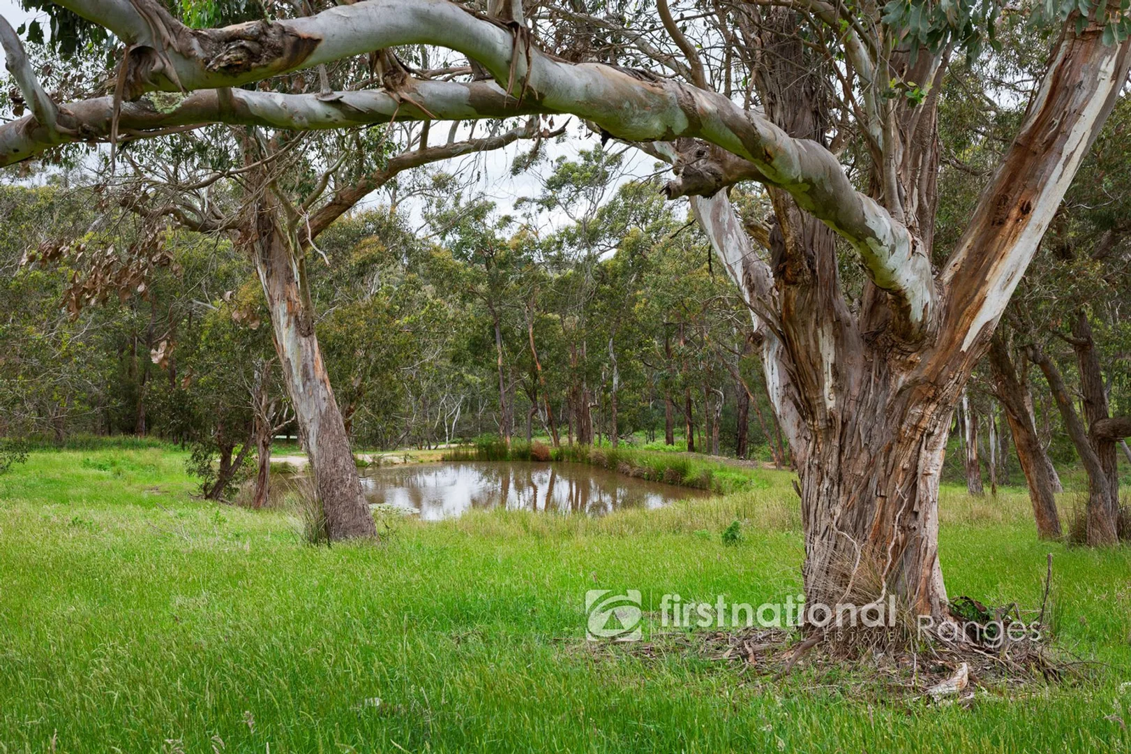 Additional image 10 of 86 Hayseys Road, Narre Warren East VIC 3804