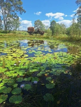 Additional image 13 of 2-12 Palomino Road, Tamborine QLD 4270