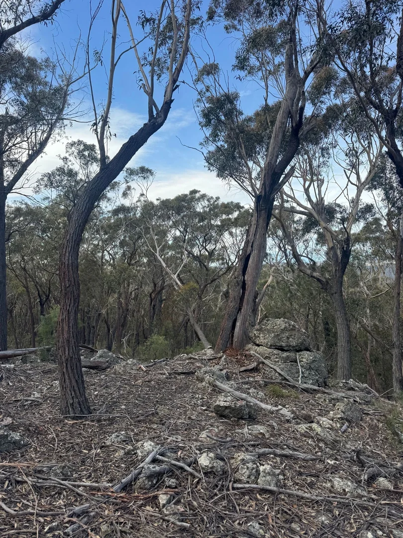 Additional image 10 of 274 Willow Glen Road, Lower Boro NSW 2580