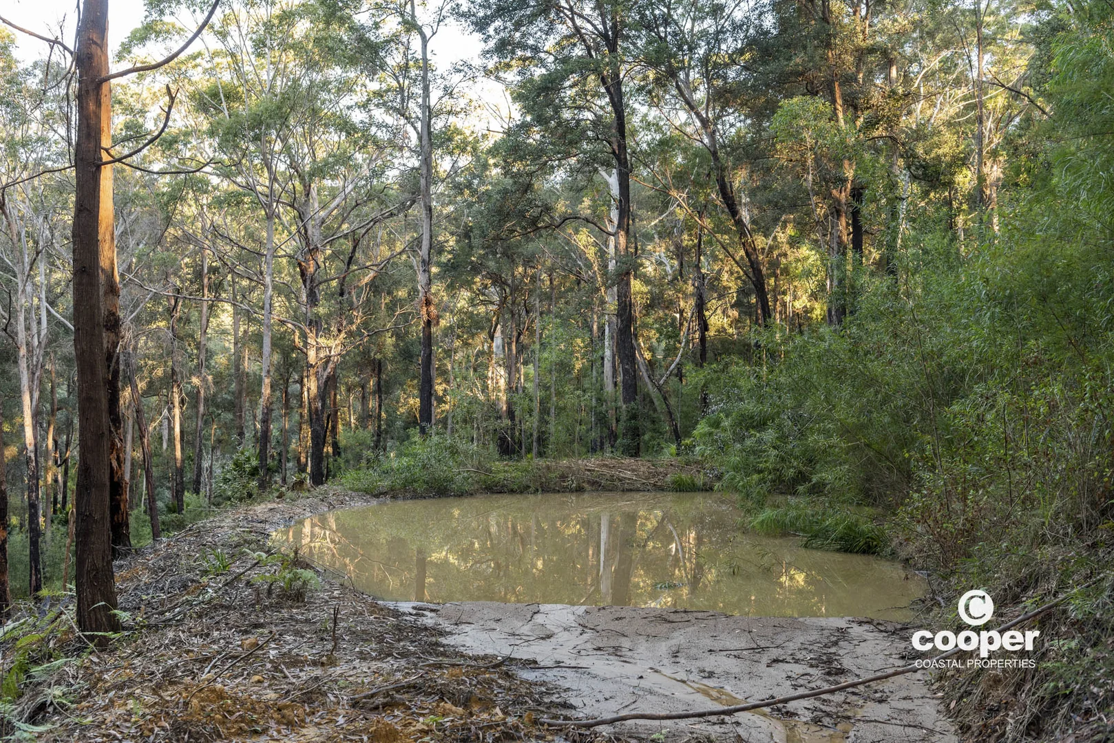 Additional image 12 of 56A Kingiman Road, Woodburn NSW 2538