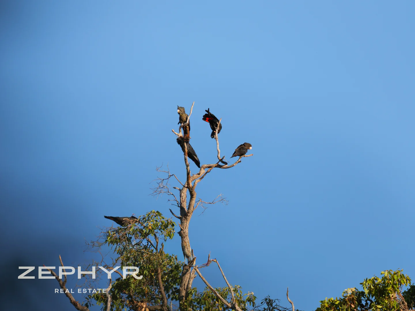 Additional image 52 of 1565 Donnybrook-Boyup Brook Road, Lowden WA 6240