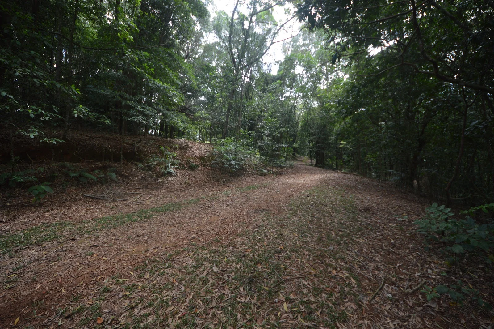 Additional image 14 of 452 Jubilee Road, Jubilee Heights QLD 4860