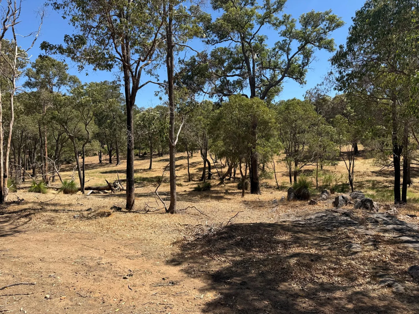 Additional image 9 of 59 Lyons Road, Waroona WA 6215