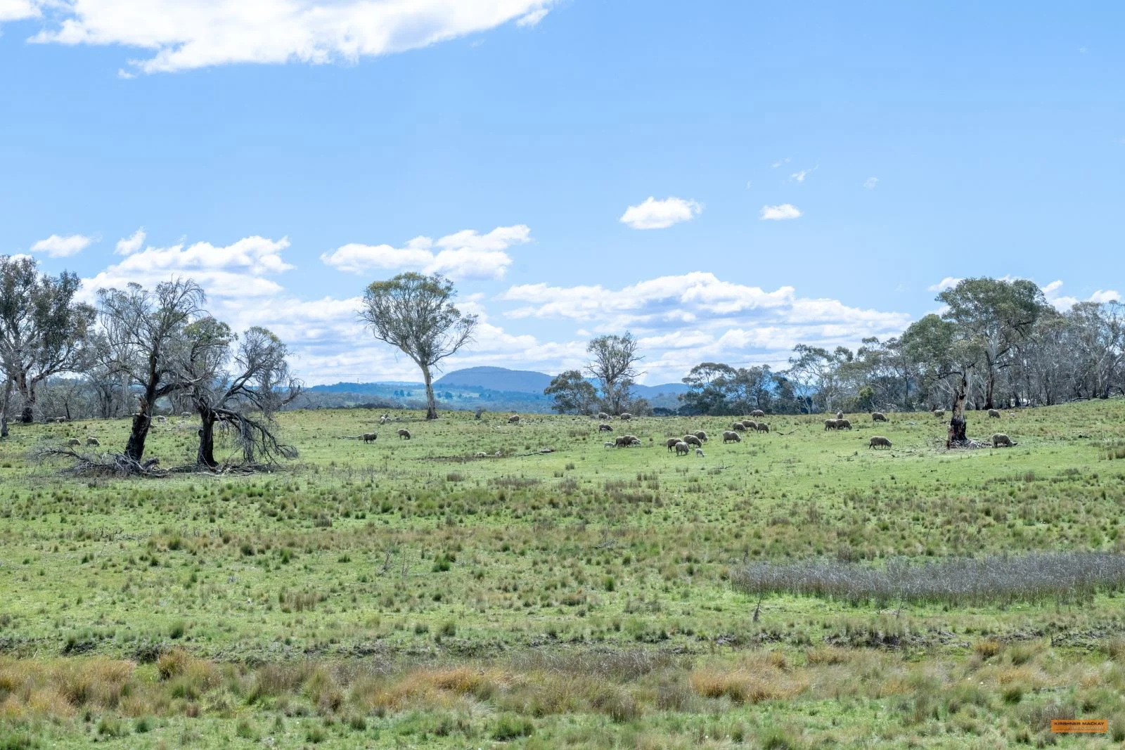 Additional image 10 of Lot 6 Avonside Road, Avonside NSW 2628