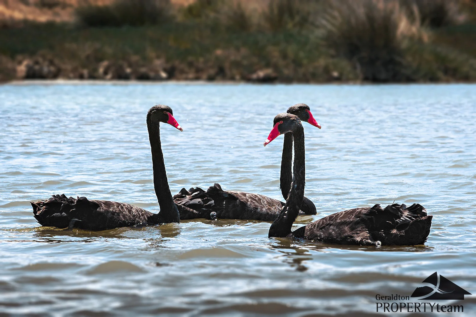 Additional image 10 of 1398 Company Road, Greenough WA 6532