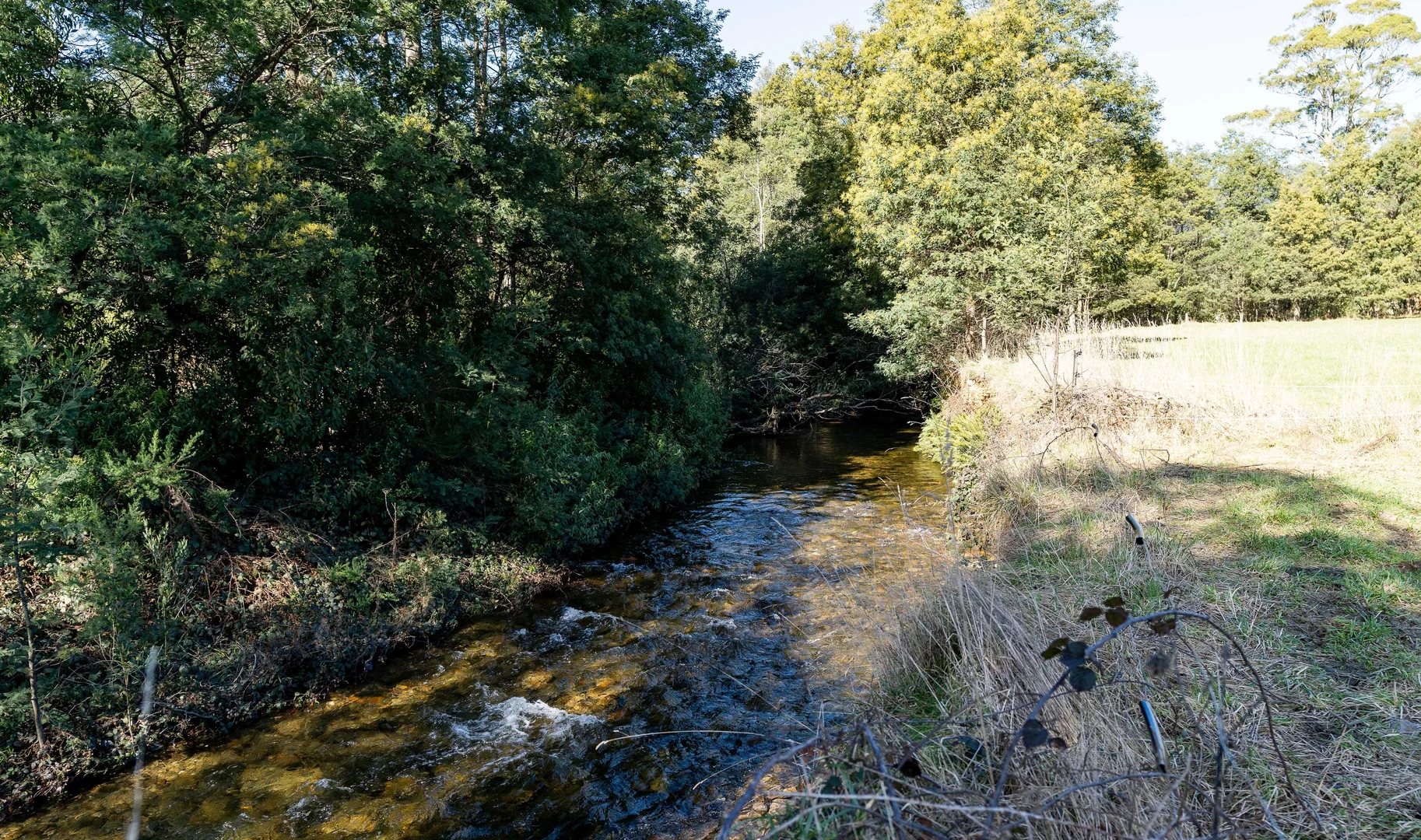 Additional image 25 of Alberton TAS 7263