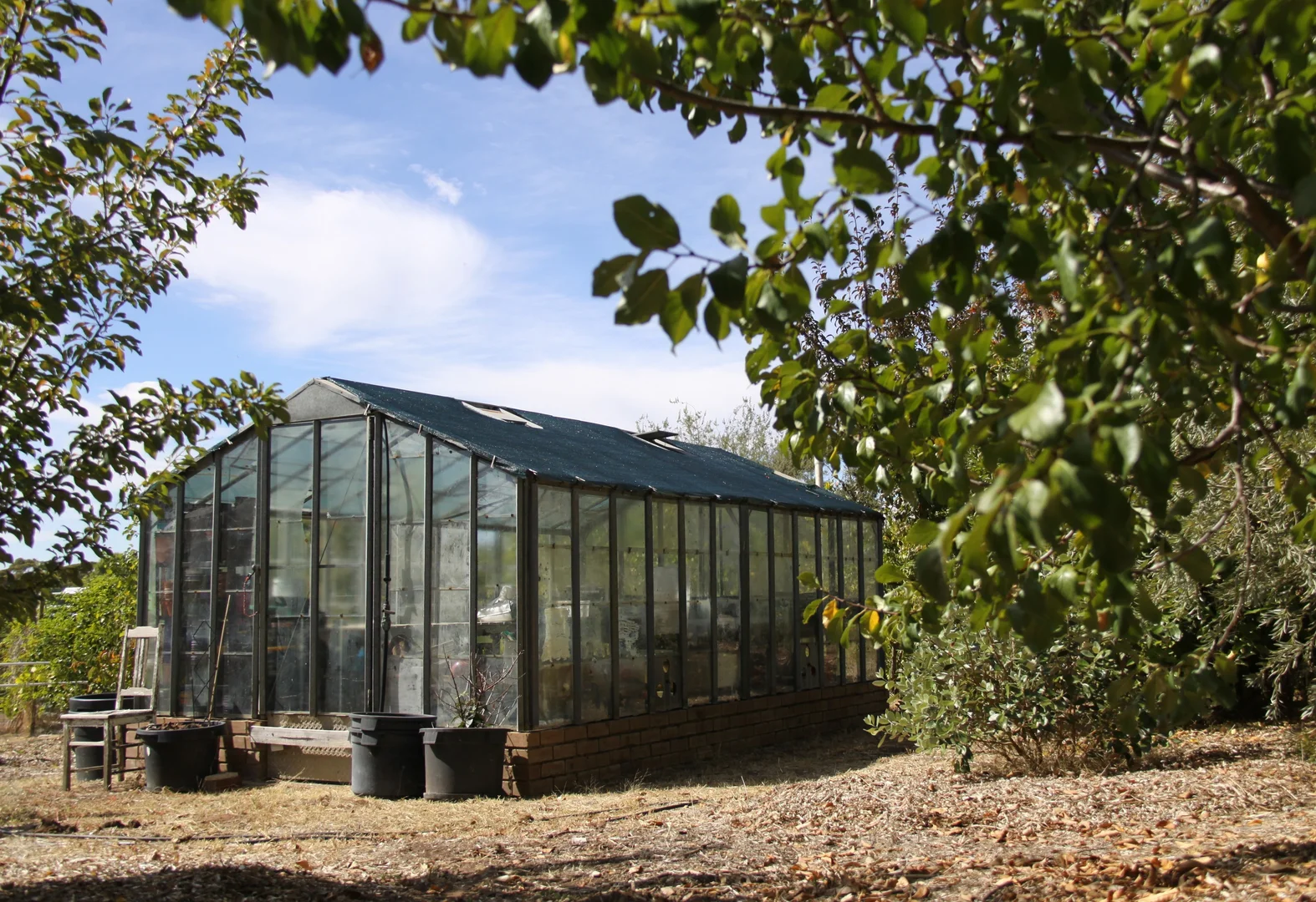 Additional image 17 of 93 Balmoral Road, Kalbeeba SA 5118