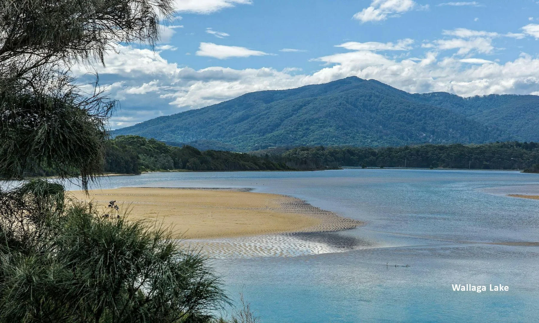 Additional image 14 of 71-91 Fairhaven Point Way, Wallaga Lake NSW 2546