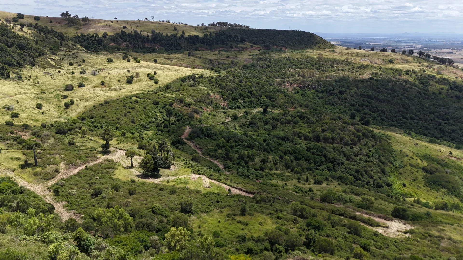Additional image 12 of Lot 62 Berlin Rd, Mount Berryman QLD 4341