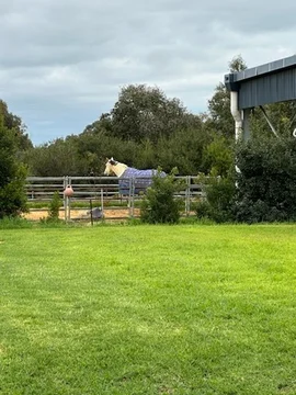 Additional image 30 of 4 Hainge Road, Hamel WA 6215