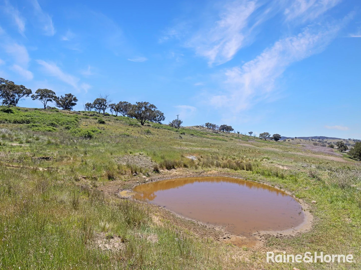Additional image 7 of 1988 Freemantle Road, Milkers Flat NSW 2795