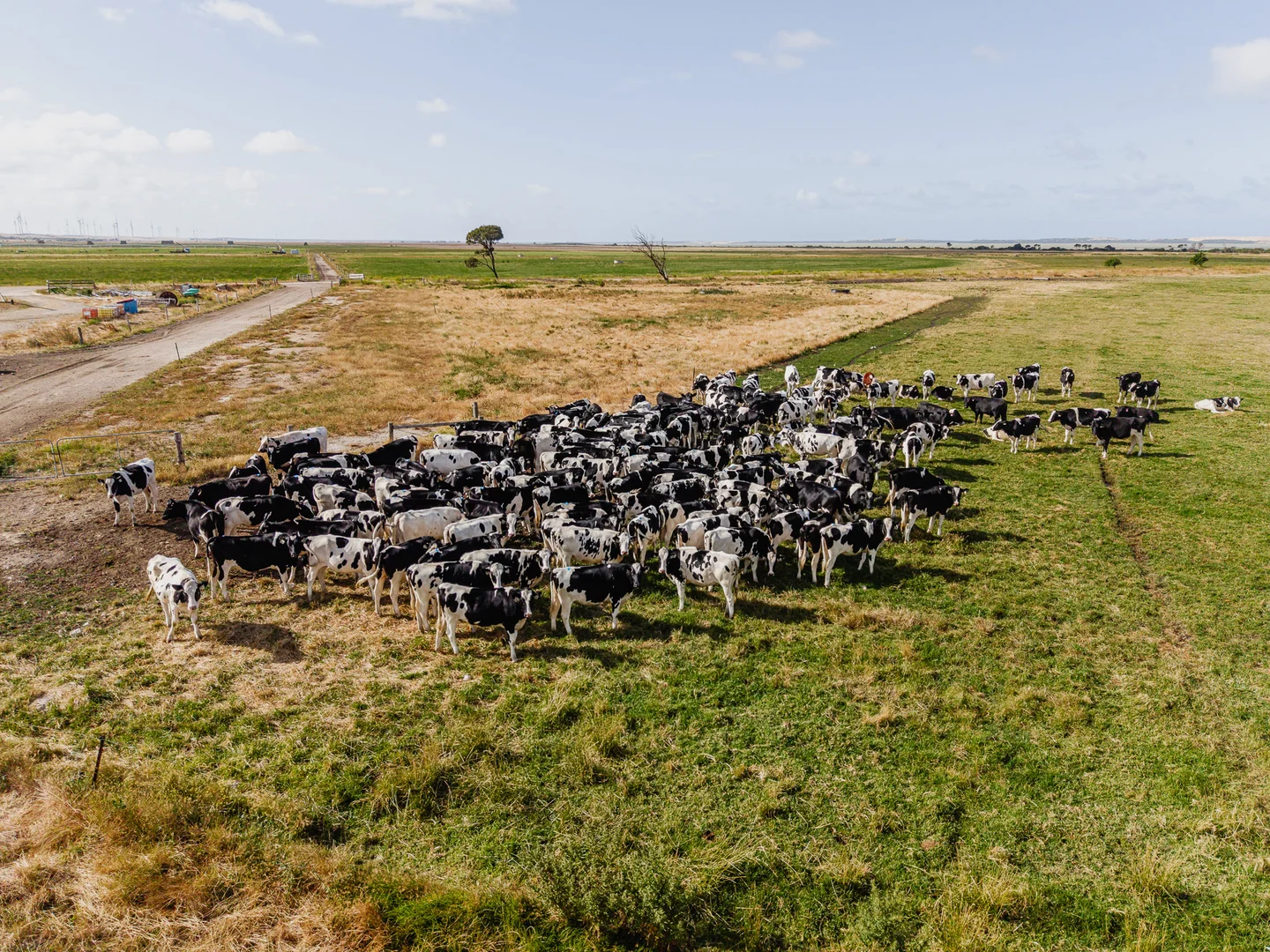 Additional image 7 of 54 Lake Bonney Access Road, Tantanoola SA 5280