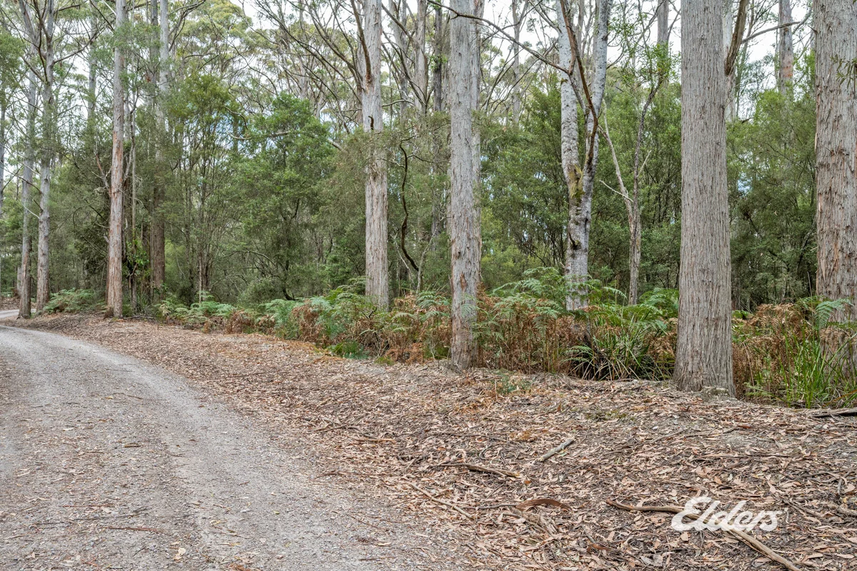 Additional image 19 of Faheys Lane, Irishtown TAS 7330