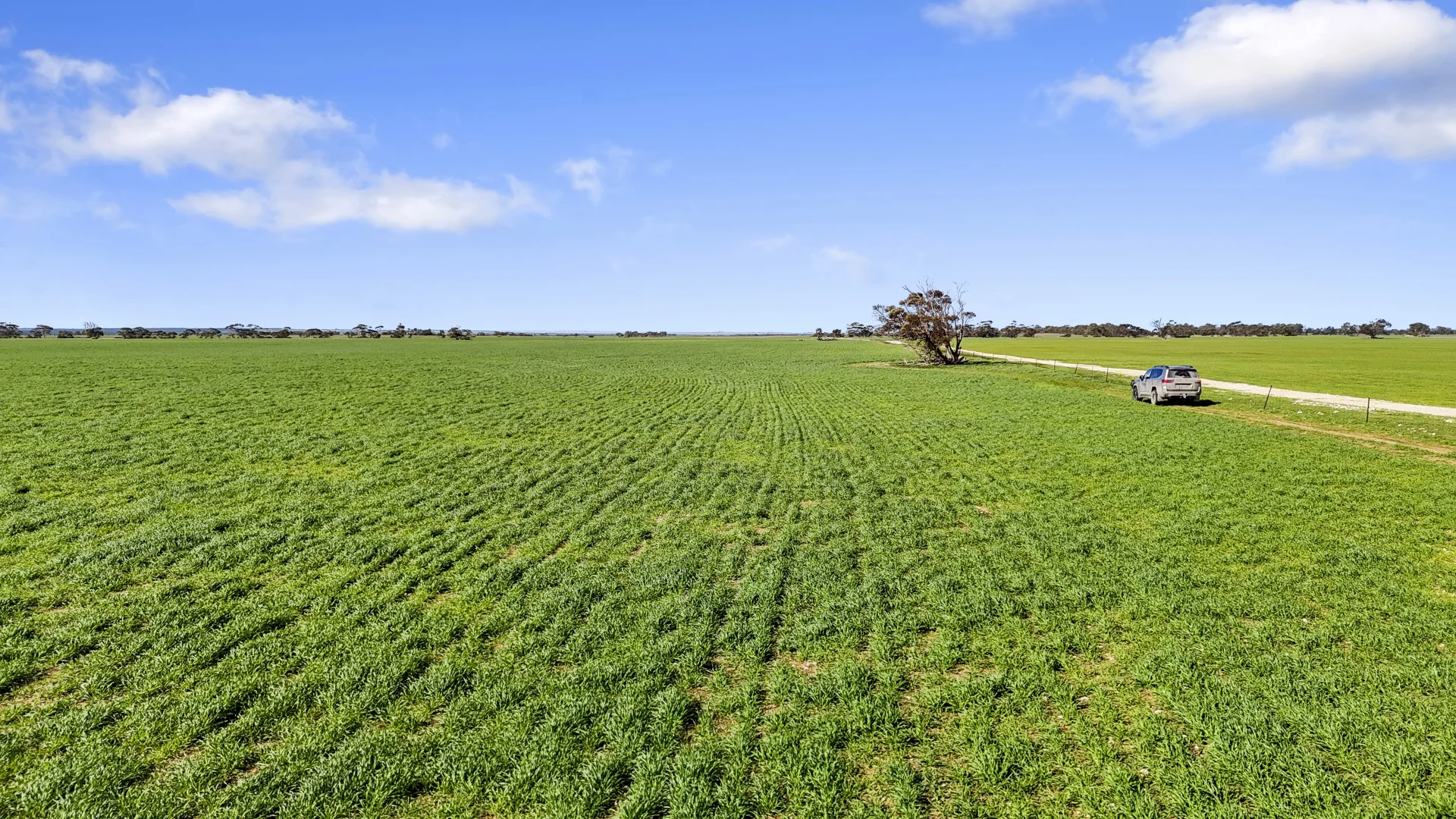 Additional image 9 of 378 Jones Road, Yumali SA 5261