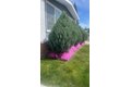 Additional image 37 of 2 Kaseberg Dr, Roseville, CA, 95678