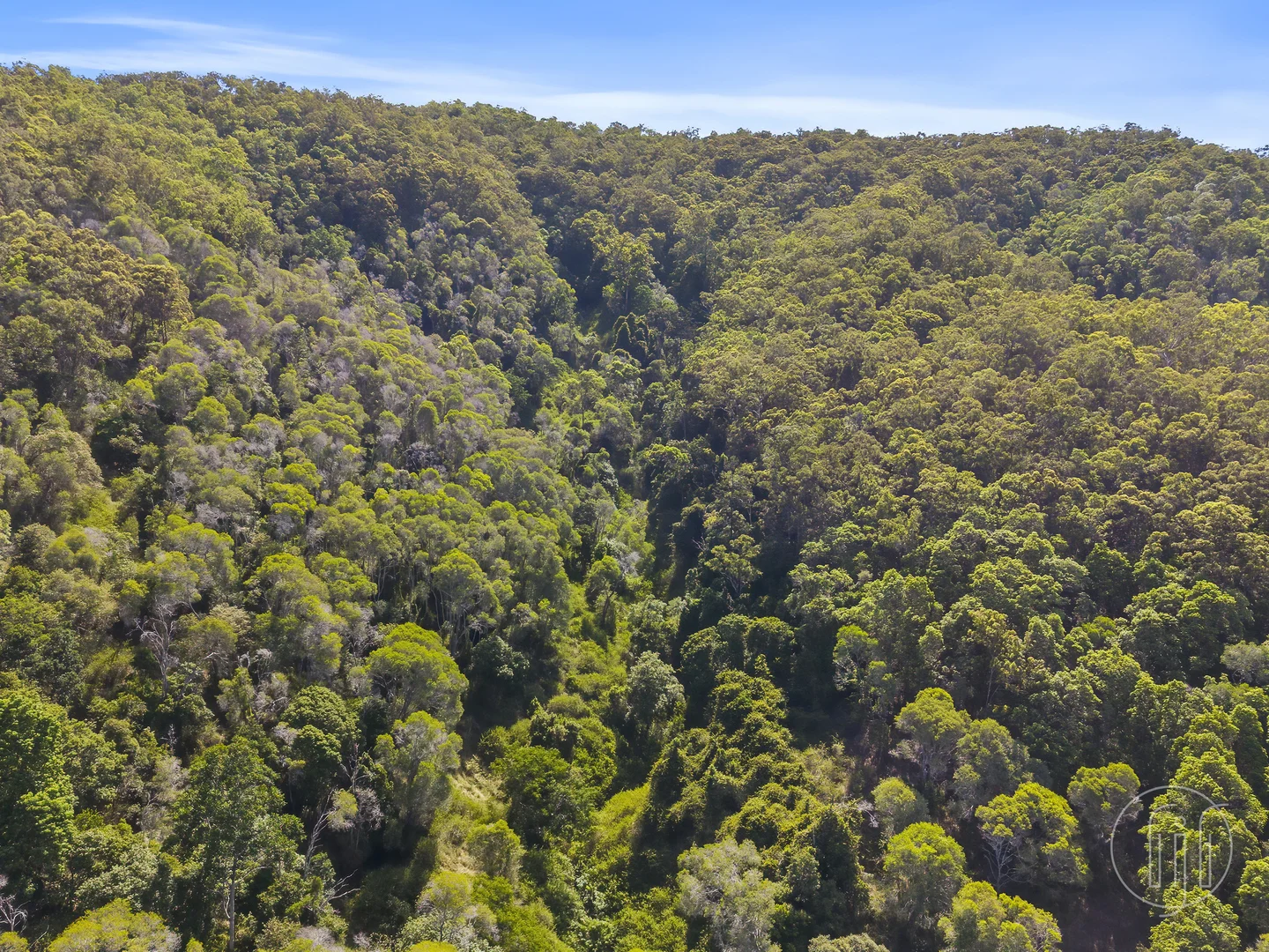 Additional image 15 of Lot 2 Ballard Rd, Imbil QLD 4570