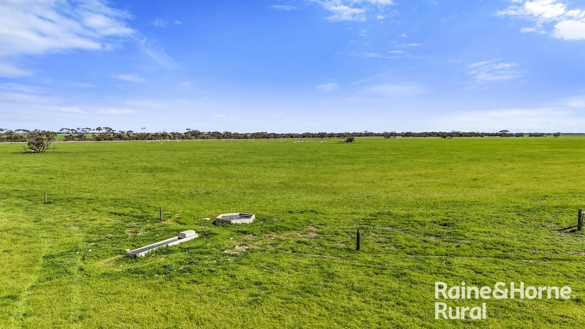 Additional image 33 of 378 Jones Road, Yumali SA 5261