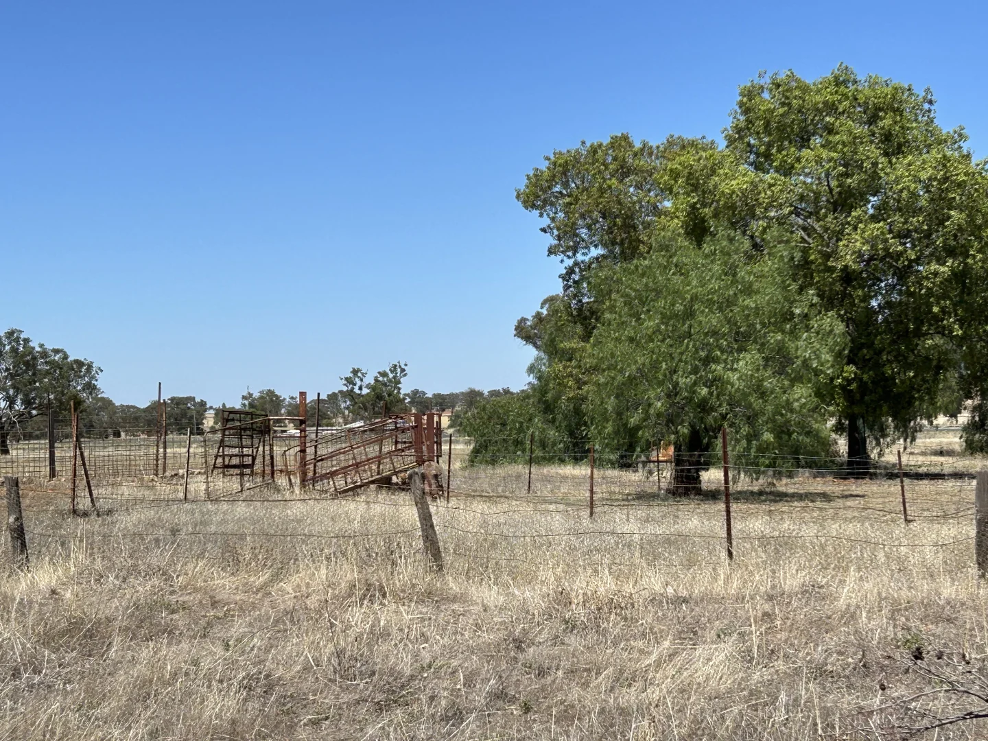 Additional image 5 of 48 FURNERS LANE, Trewilga NSW 2869