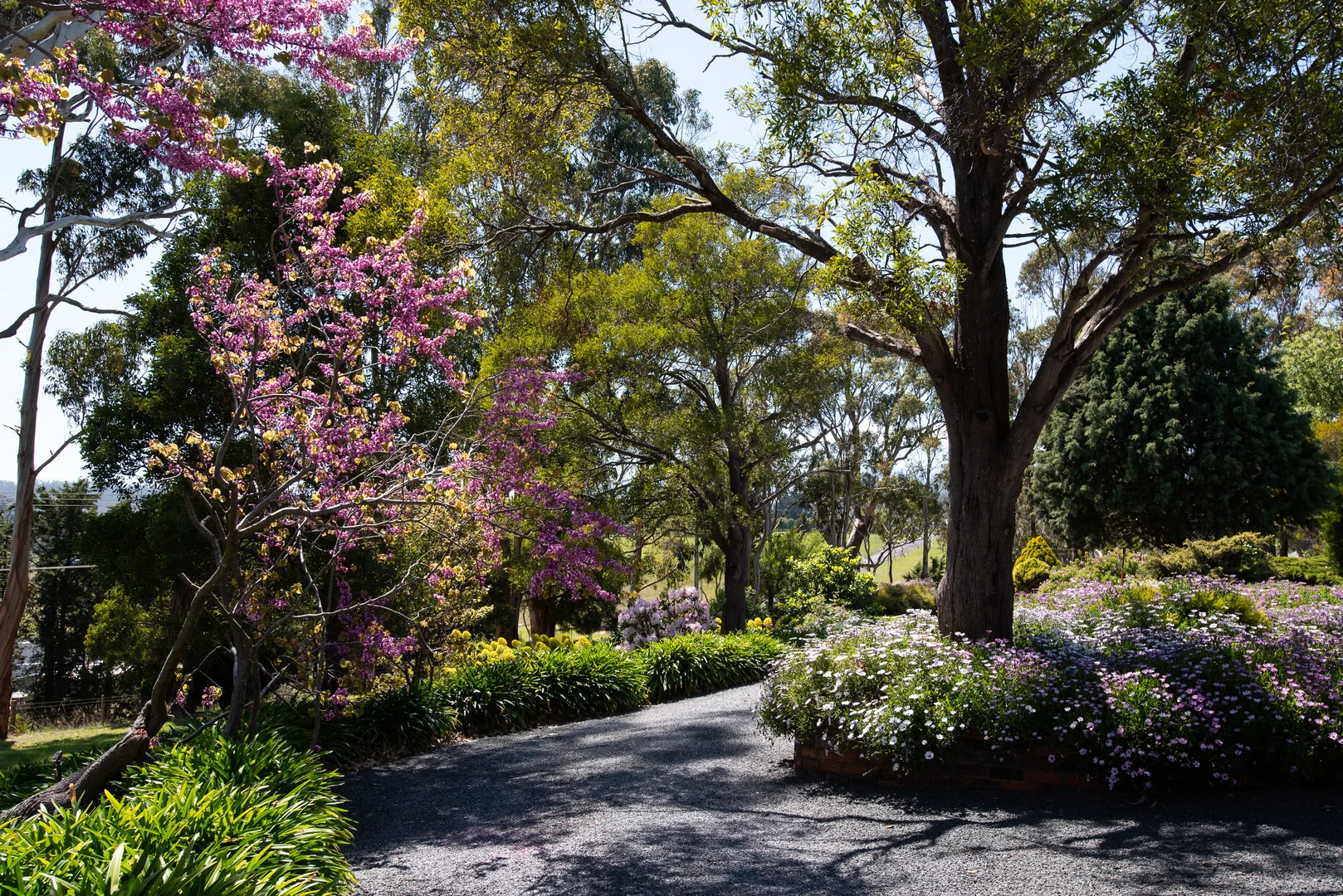 Additional image 13 of 40577 Tasman Highway, St Leonards TAS 7250