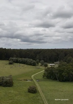 Additional image 10 of 1636 Muirillup Road, Boorara Brook WA 6262