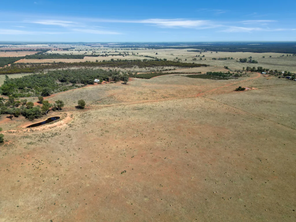 Additional image 11 of 603 Charcoal Tank Road, West Wyalong NSW 2671