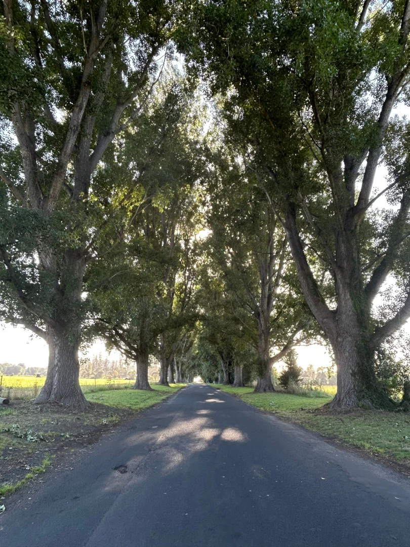 Additional image 19 of Bega NSW 2550