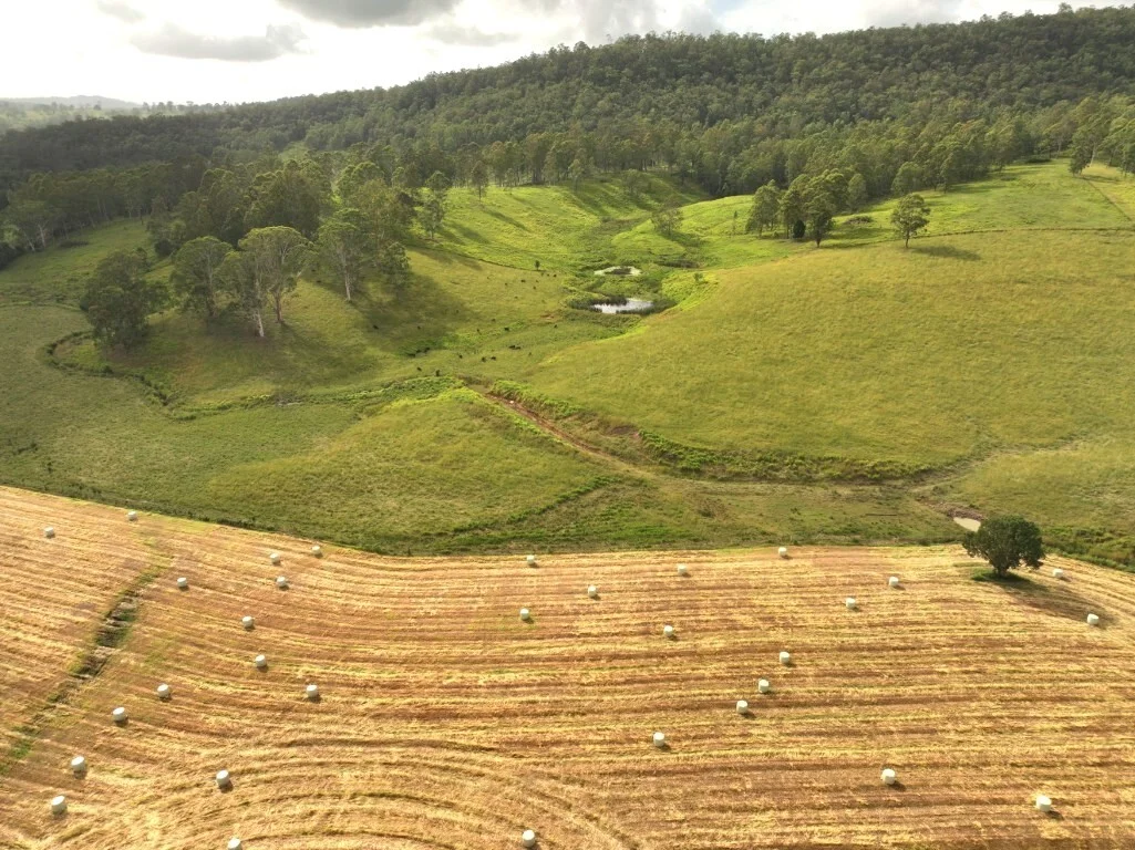 Additional image 11 of 1023 Iron Pot Creek Rd, Kyogle NSW 2474