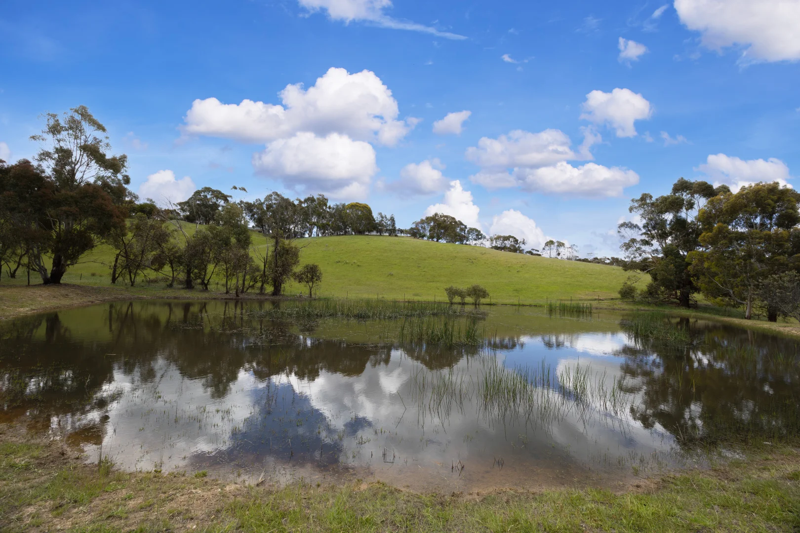 Additional image 19 of 1329 Egerton-Ballark Road, Bungal VIC 3334