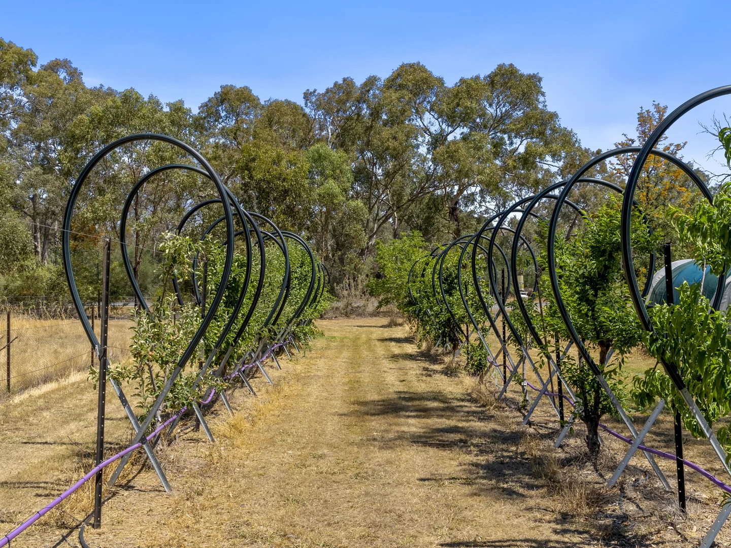 Additional image 28 of 4572 Murray Valley Highway, Rutherglen VIC 3685