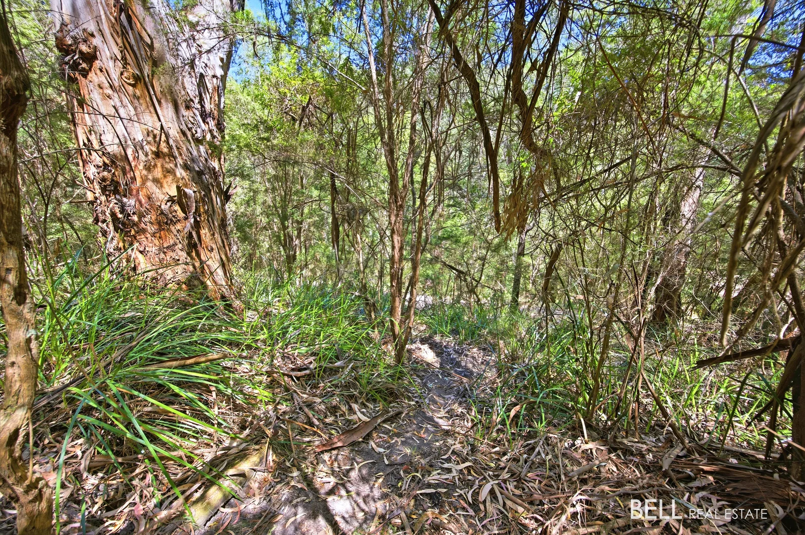 Additional image 5 of 23 Glenbrook Road, Warburton VIC 3799
