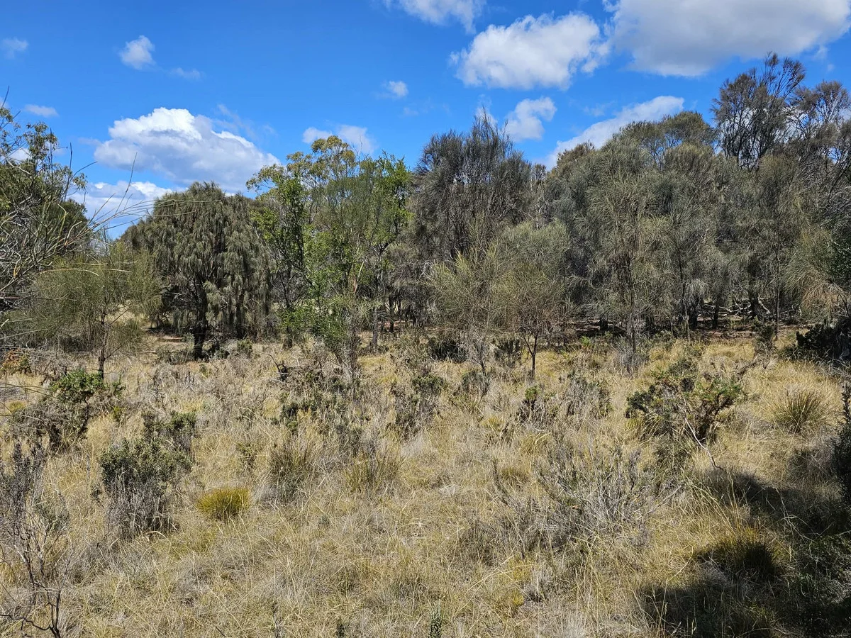 Additional image 7 of 3/5 Addison Street, Swansea TAS 7190