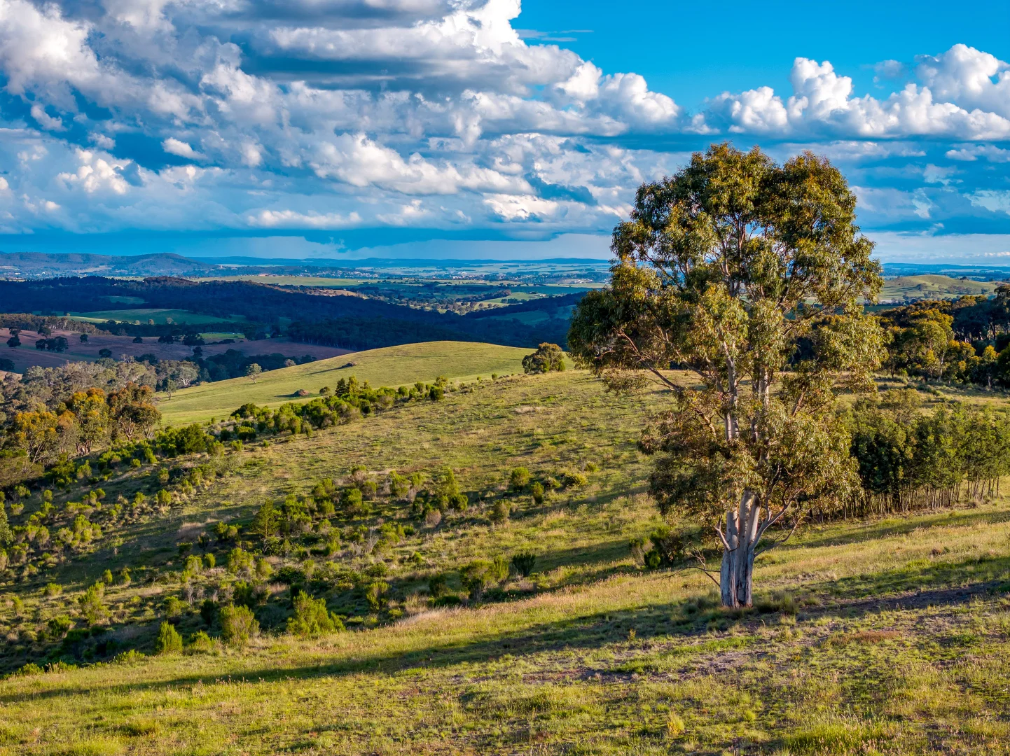 Additional image 17 of 1452 Crookwell Road, Goulburn NSW 2580