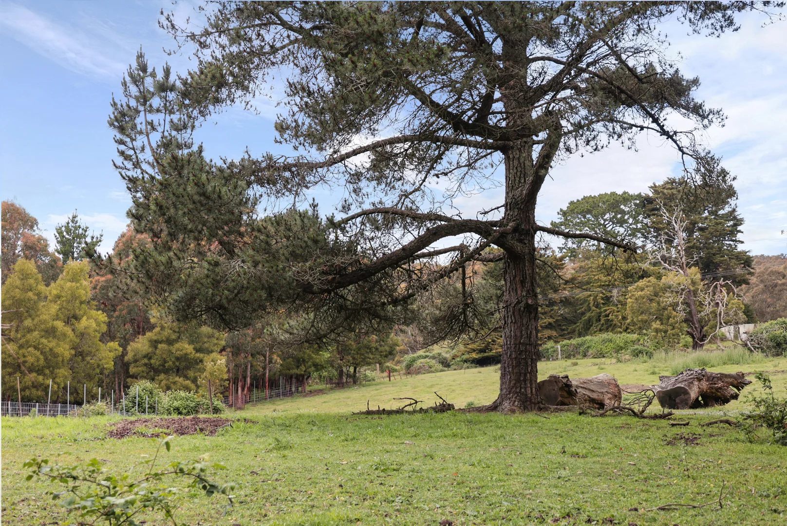 Additional image 12 of 135 Boldiston Road, Woodend VIC 3442