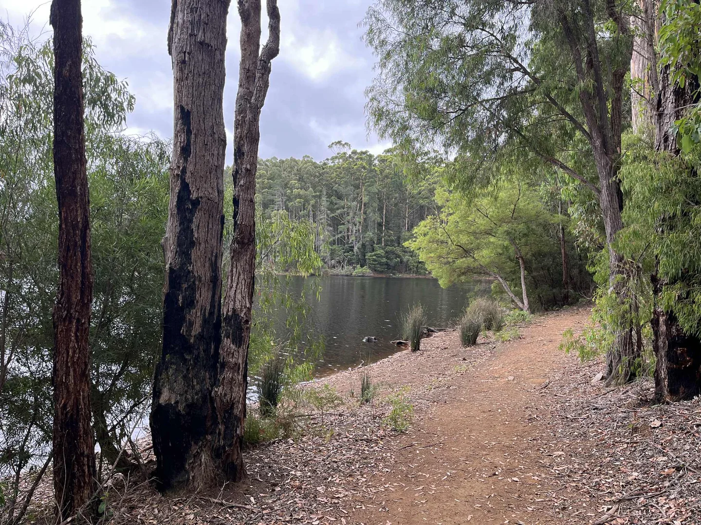 Additional image 5 of Lot 165 Karri Lane, Quinninup WA 6258