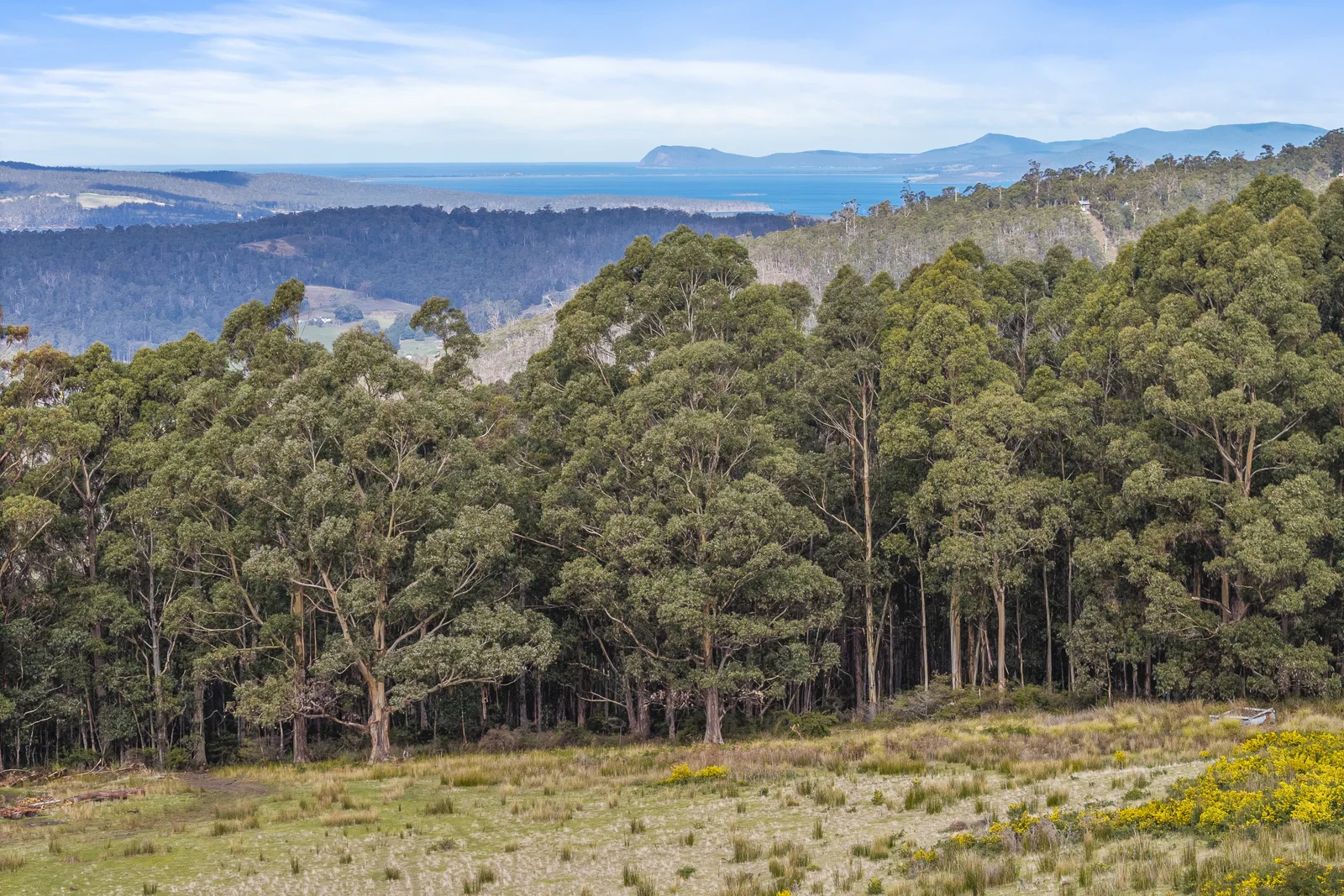 Additional image 7 of Lot 1 Longmans Road, Snug TAS 7054