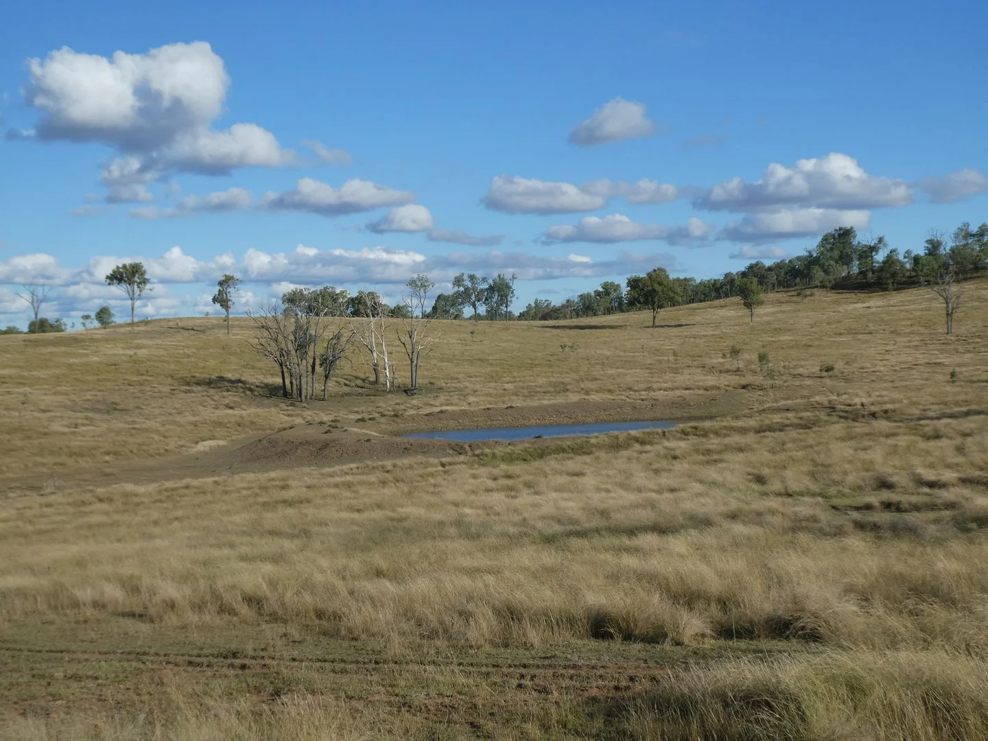 Additional image 14 of Lot 24 Gayndah Mount Perry Road, Mount Steadman QLD 4625