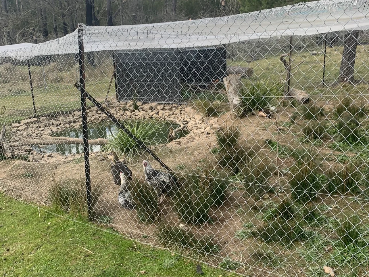 Additional image 21 of Tomboye NSW 2622