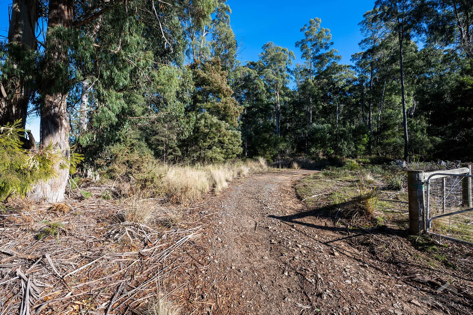 Additional image 10 of Weetah Road, Weetah TAS 7304