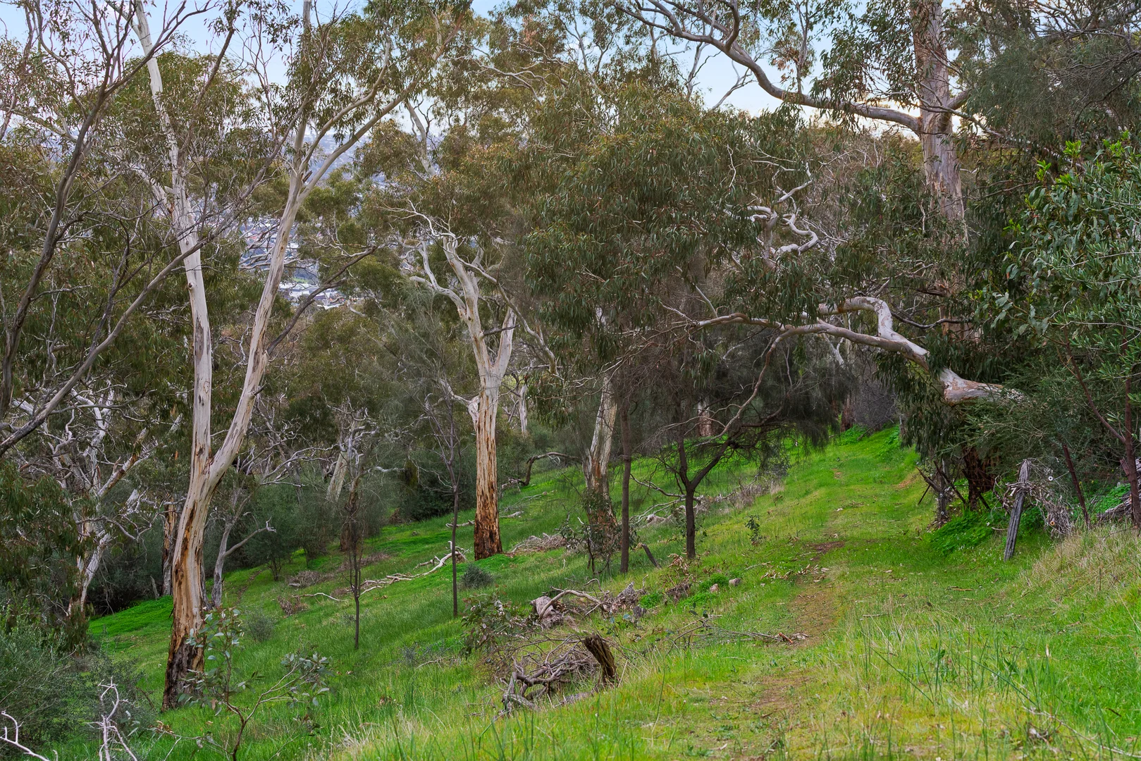 Additional image 5 of 60 Gloucester Avenue, Belair SA 5052