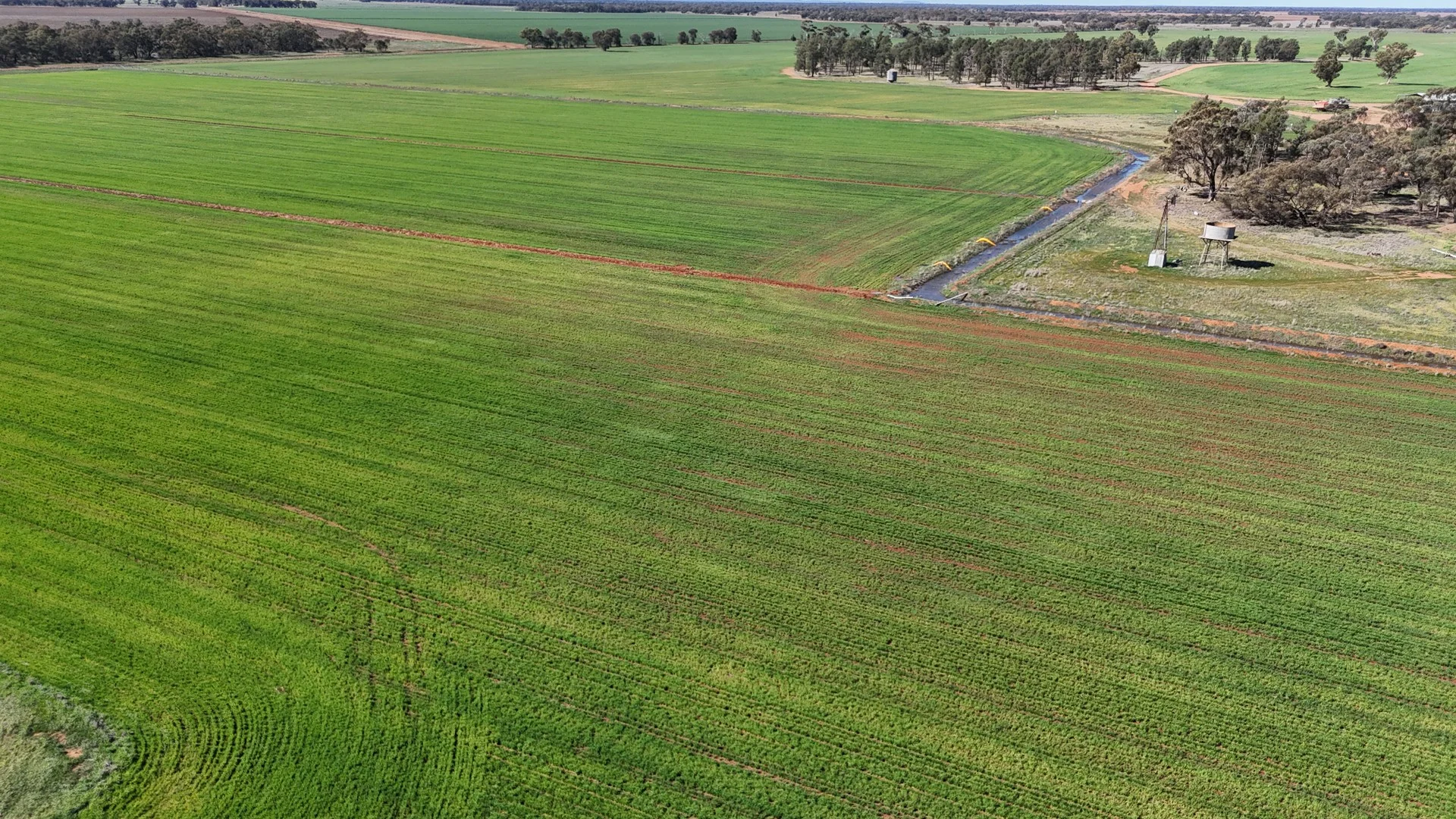 Additional image 5 of Farm 25/1354 Main Canal Road, Coleambally NSW 2707