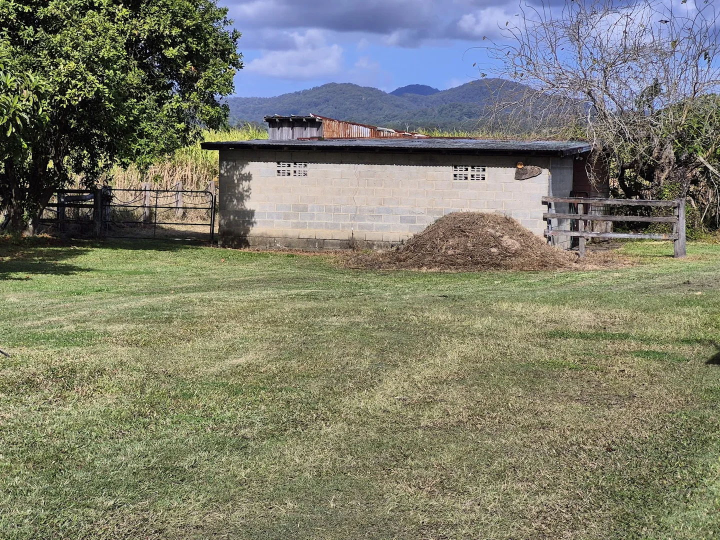 Additional image 5 of 98 Tweed Valley Way, South Murwillumbah NSW 2484